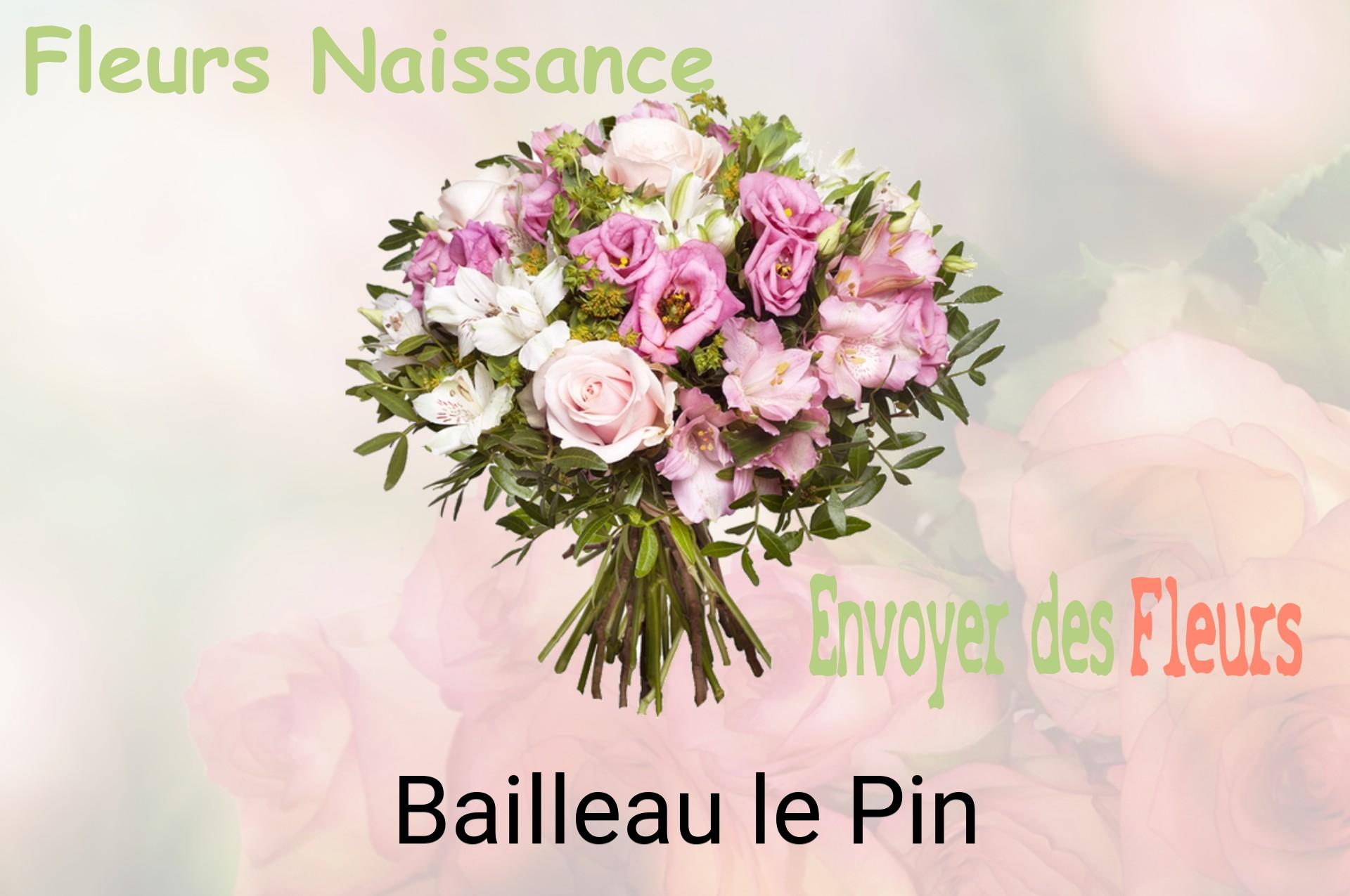 Bouquet de fleurs de naissance livré à Bailleau-le-Pin